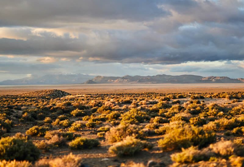 Nevada